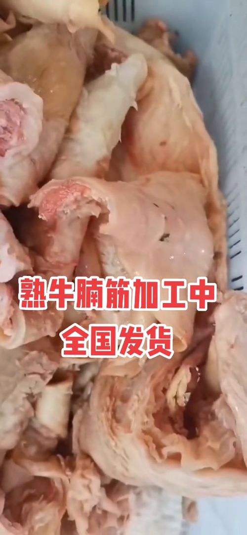 好食材好味道 全国发货 牛腩筋 牛副产品批发 牛羊肉 厂家批发